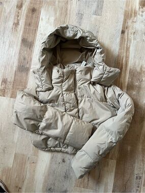Women's Cropped Beige Puffer Jacket with Hood